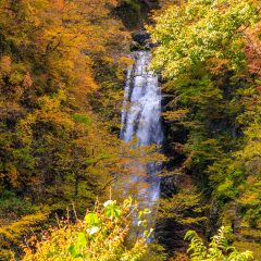 2022年秋保大滝の紅葉 (1)