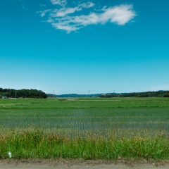 田舎の風景その2